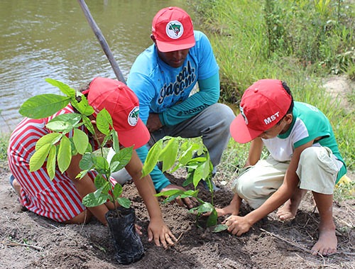 El Movimiento de los Trabajadores Rurales Sin Tierra (MST) comenzó esta semana la tercera edición de la Jornada de la Naturaleza, que forma parte del plan nacional "Plantar Árboles, Producir Alimentos Saludables". 

Esta iniciativa tiene como objetivo, además de la reforestación,