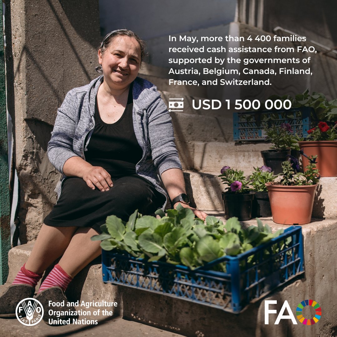 In May, FAO provided over USD 1.5 million in cash assistance to support more than 4 400 farming families near the frontline. These funds helped them plant crops, care for livestock, and rebuild rural livelihoods. 

With the support of 🇦🇹, 🇧🇪, 🇨🇦, 🇫🇮, 🇫🇷 and 🇨🇭.