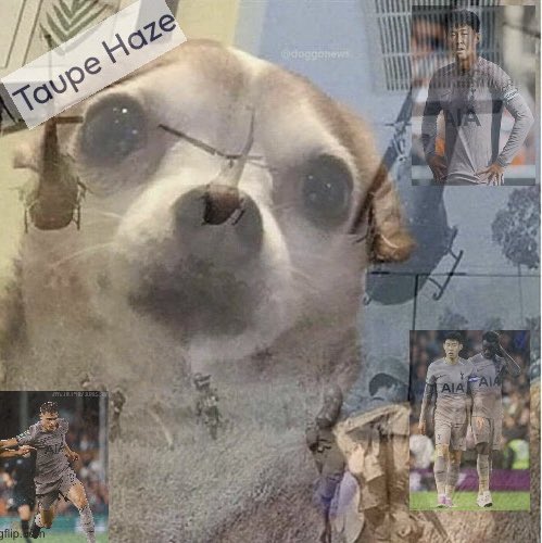 Digital Spurs (@digitalspurs) on Twitter photo 