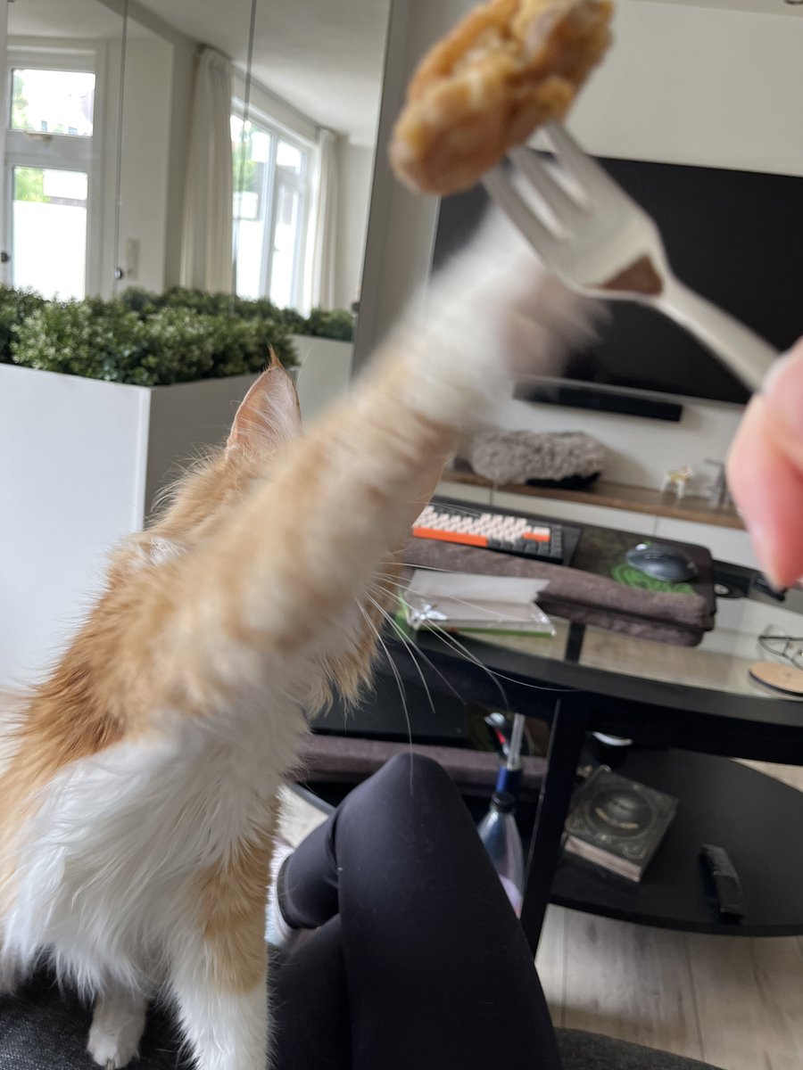 Дай курочков