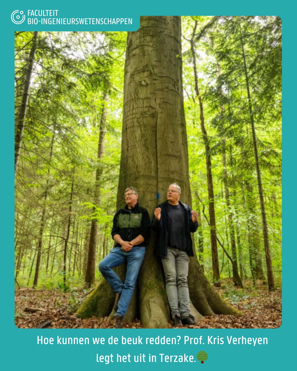 FbwUGent's tweet image. 🌳 De beuk kreunt onder hitte en droogte. Klimaatverandering bedreigt zijn voortbestaan.
Prof. Kris Verheyen (@ugent ) legt uit hoe we deze soort kunnen redden in @terzaketv (vanaf 28:40) 🌍
📺Kijk vanaf 28:40: vrt.be/vrtmax/a-z/ter…
#Klimaat #Beuk