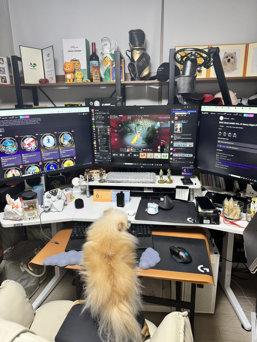 GM CARVer~
<a href="/carv_official/">CARV</a>