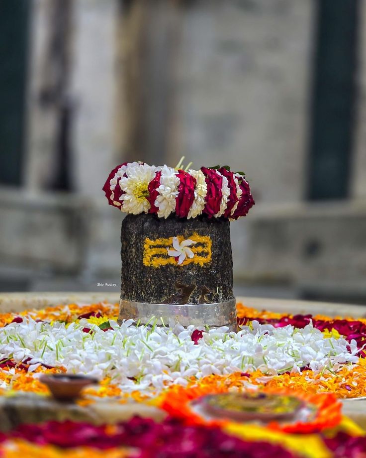 ॐ नमः पार्वती पतये हर हर महादेव
