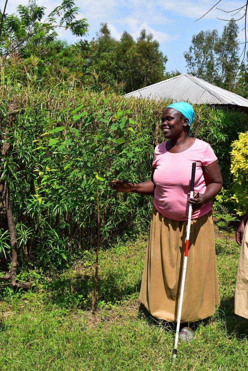 ANDY Tweets (@actionetwork) on Twitter photo In 2023,<a href="/ActioNetwork/">ANDY Tweets</a> launched a 3-year Inclusive Climate Change and Adaptation project in Kisumu, targeting persons with disabilities in Nyando sub-county, Kisumu. In 2024, during World Environment Day, we carried out a tree-planting activity
#ClimateAction
<a href="/ForumCivESA/">ForumCiv ESA</a> In 2023,<a href="/ActioNetwork/">ANDY Tweets</a> launched a 3-year Inclusive Climate Change and Adaptation project in Kisumu, targeting persons with disabilities in Nyando sub-county, Kisumu. In 2024, during World Environment Day, we carried out a tree-planting activity
#ClimateAction
<a href="/ForumCivESA/">ForumCiv ESA</a>