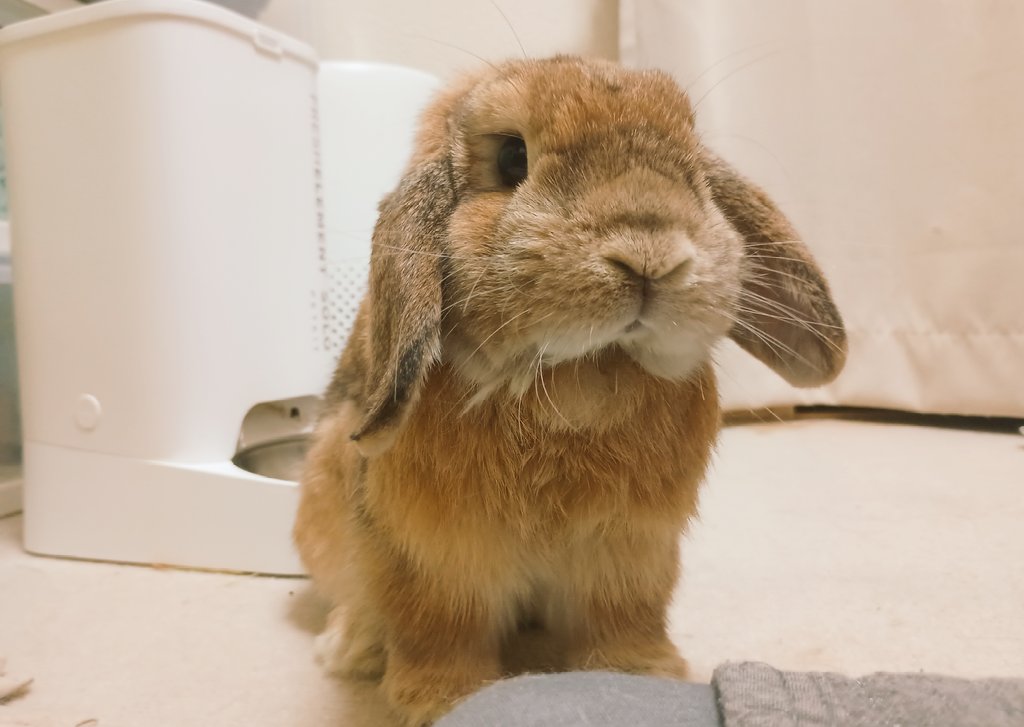 顎から謎毛が飛び出してる