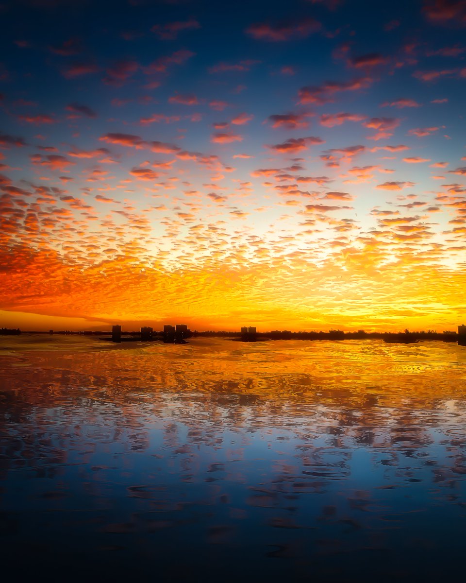 Buildtree (@buildtree_io) on Twitter photo New Drop from the Buildtree Grant Program 🌊
“Royal Sunsets” by <a href="/jamesatruett/">James A. Truett | Artist</a> 🌅📸
Royal Sunsets is an enchanting series of 9 sunset photographs captured aboard the former Royal Yacht of Monaco. A stunning collection where beauty meets memory, and every image carries a story. New Drop from the Buildtree Grant Program 🌊
“Royal Sunsets” by <a href="/jamesatruett/">James A. Truett | Artist</a> 🌅📸
Royal Sunsets is an enchanting series of 9 sunset photographs captured aboard the former Royal Yacht of Monaco. A stunning collection where beauty meets memory, and every image carries a story.