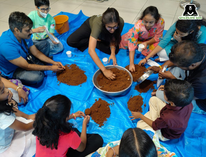 WildlifeSOS's tweet image. Rewilding one seedball at a time! 🌱

Wildlife SOS, in collaboration with @ibm_in and #Goodera, recently hosted impactful seed ball-making events in Hyderabad and Gurgaon, bringing together employees and their children for a hands-on experience with soil, vermicompost, and native