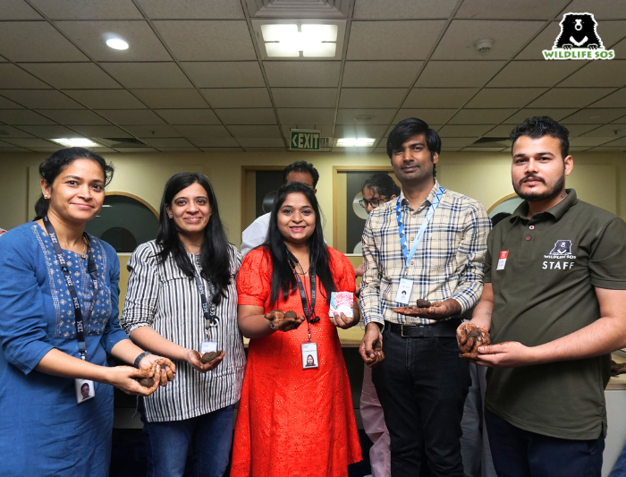 WildlifeSOS's tweet image. Rewilding one seedball at a time! 🌱

Wildlife SOS, in collaboration with @ibm_in and #Goodera, recently hosted impactful seed ball-making events in Hyderabad and Gurgaon, bringing together employees and their children for a hands-on experience with soil, vermicompost, and native