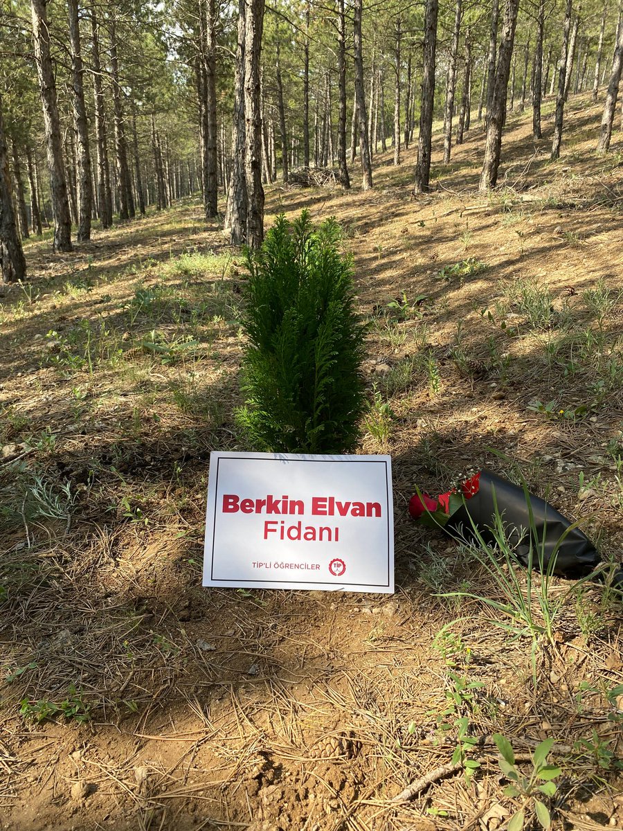 Kardeşimiz Berkin'in ismi Hacettepe'de bir fidanda yaşıyor! 

Sadece bu fidanda değil, Berkin'in adı da hayalleri de bu memleketin dört bir yanında yaşayacak!