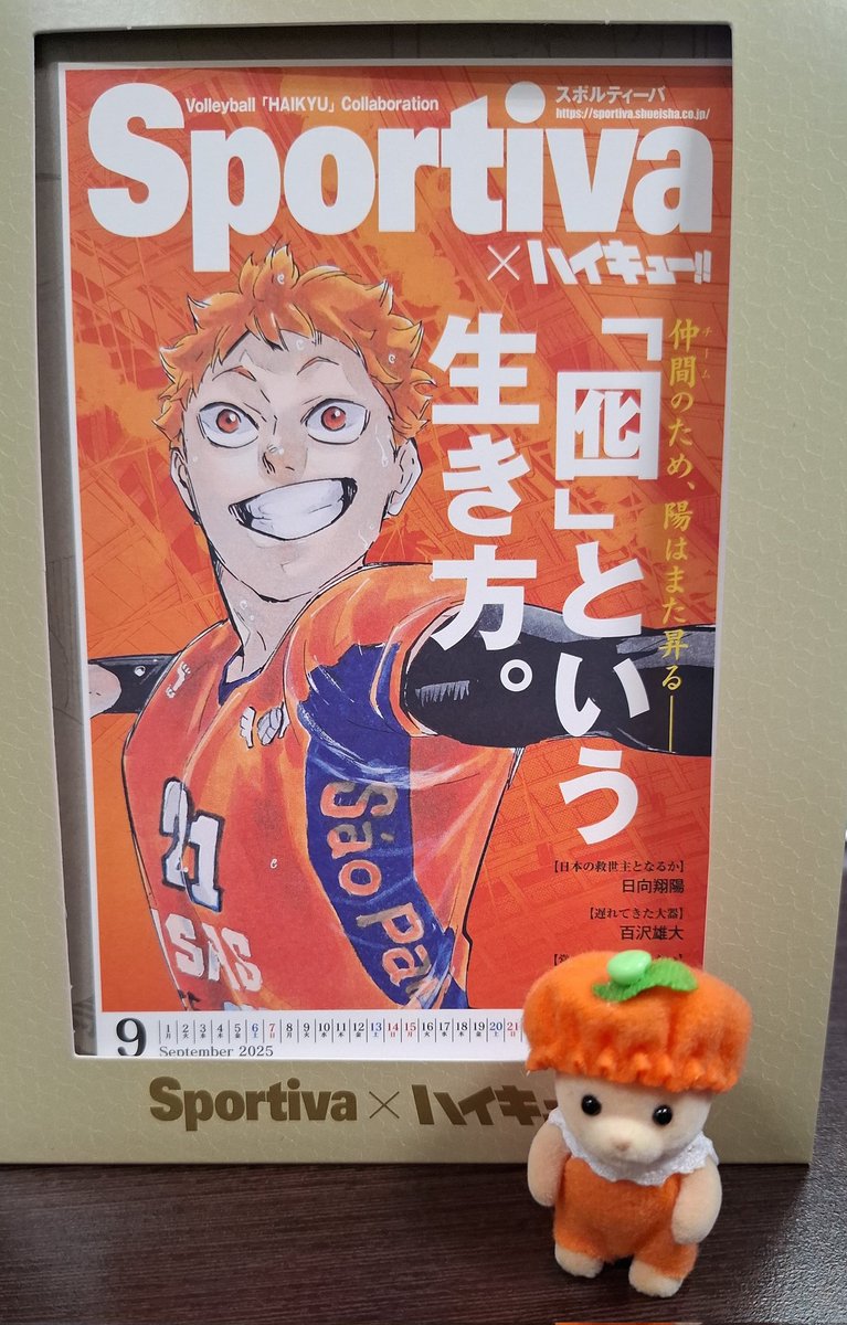 Yuju!! por fin tengo a mi mandarina con patas versión ternurin 🤭 es tan bonito #Haikyuu #hinatashoyo #ハイキュー