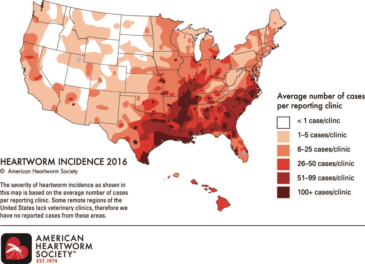 Location, location, location. No question it matters when it comes to the odds of your pets getting heartworms. yhoo.it/2JJjXcR