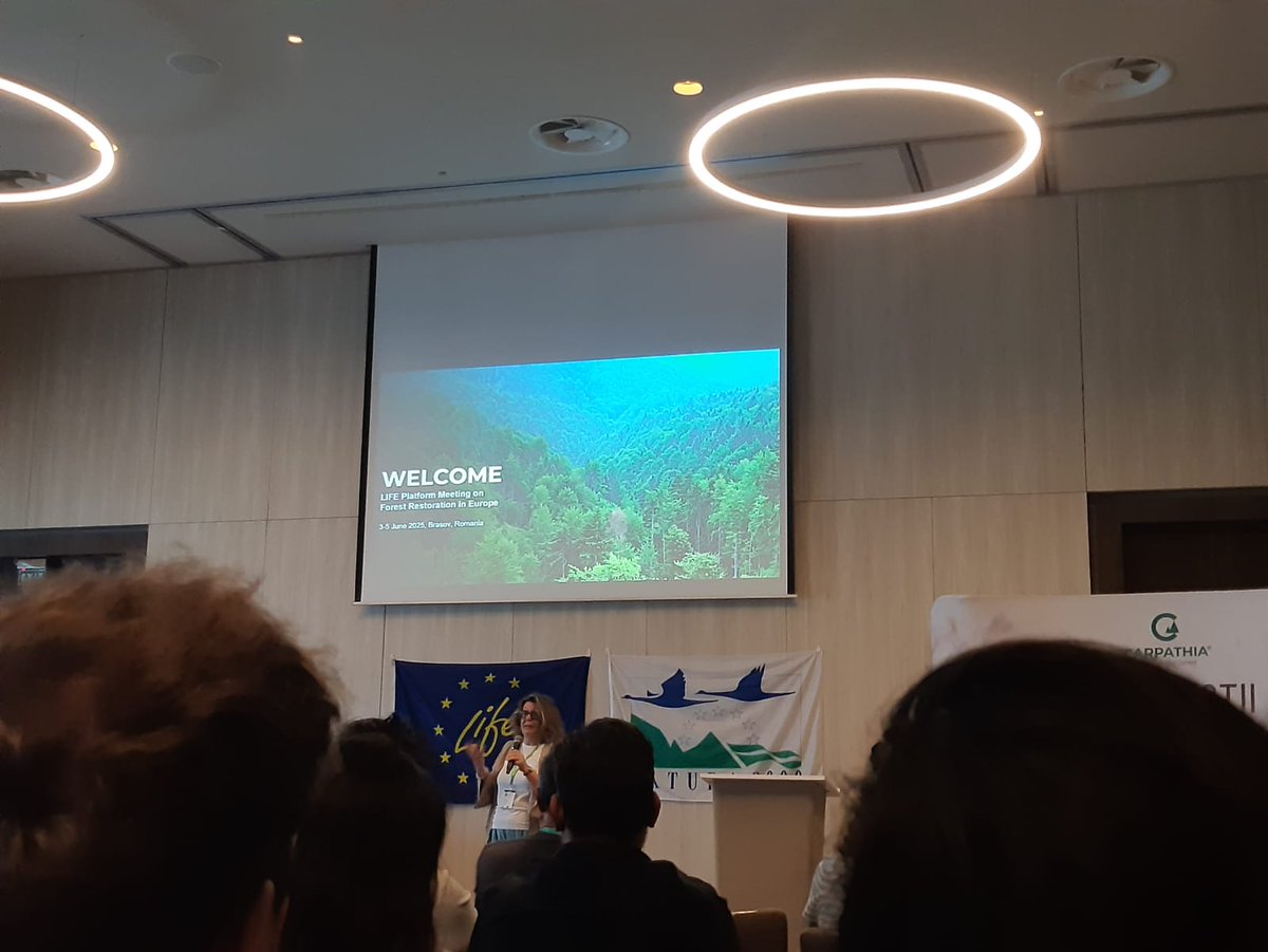 Profesionales de Orthem asisten en Brasov, Rumania al encuentro europeo de la Plataforma de proyectos LIFE sobre restauracion forestal

La jornada ha comenzado con la intervención representantes de @CINEA y de la Comisión Europea