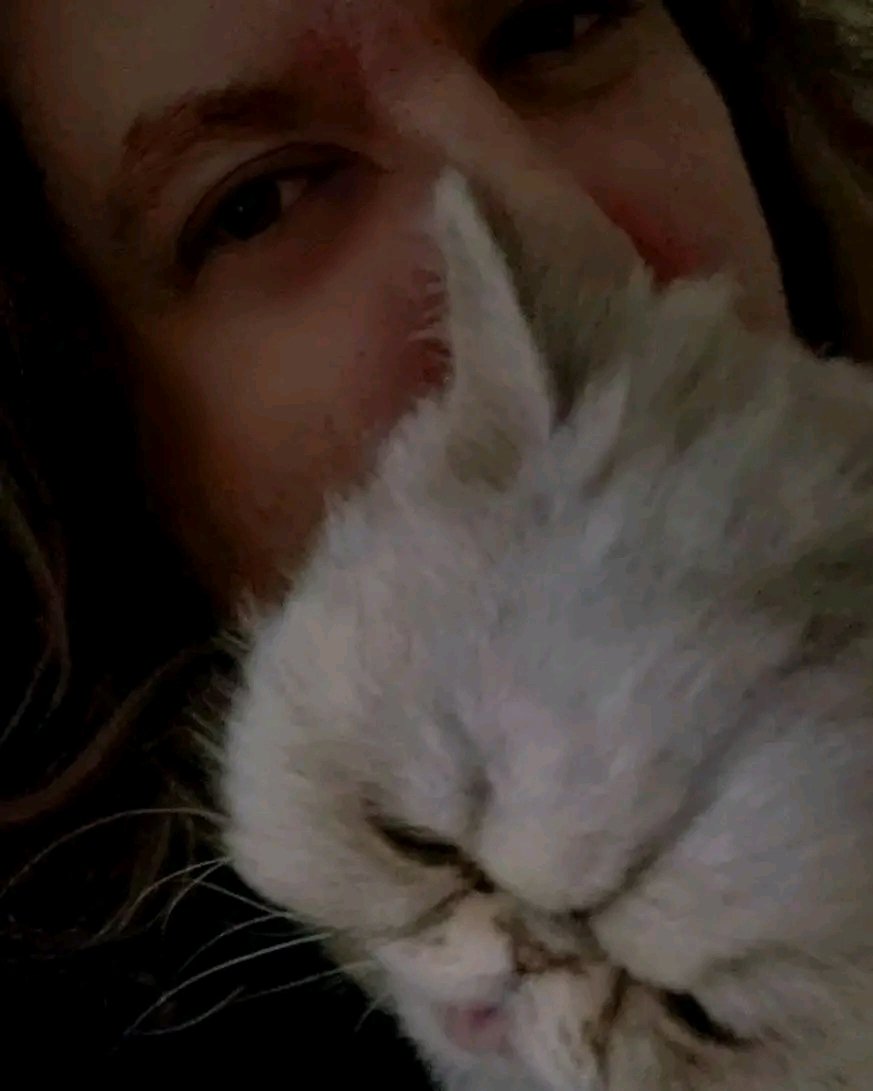 Marten Andersson Bass (@anderssonmarten) on Twitter photo Good morning! I get to take this guy to 'his hair stylist' today, he is getting matted. This will be fun! 😱Putting on the gloves! 🧤
<a href="/realcatmilo/">realcatmilo</a> #milothecat #milo Good morning! I get to take this guy to 'his hair stylist' today, he is getting matted. This will be fun! 😱Putting on the gloves! 🧤
<a href="/realcatmilo/">realcatmilo</a> #milothecat #milo