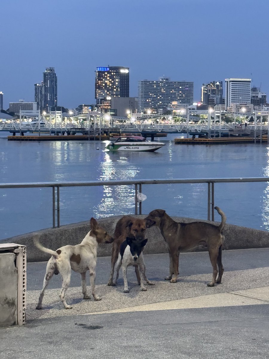 OD ที่แท้ทรู