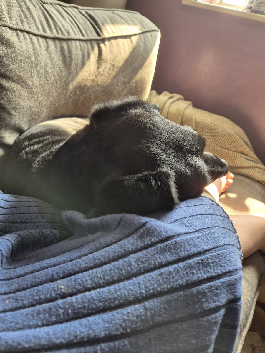 Dis SockySofa, Nots MommaSofa!

ROODNESS!!