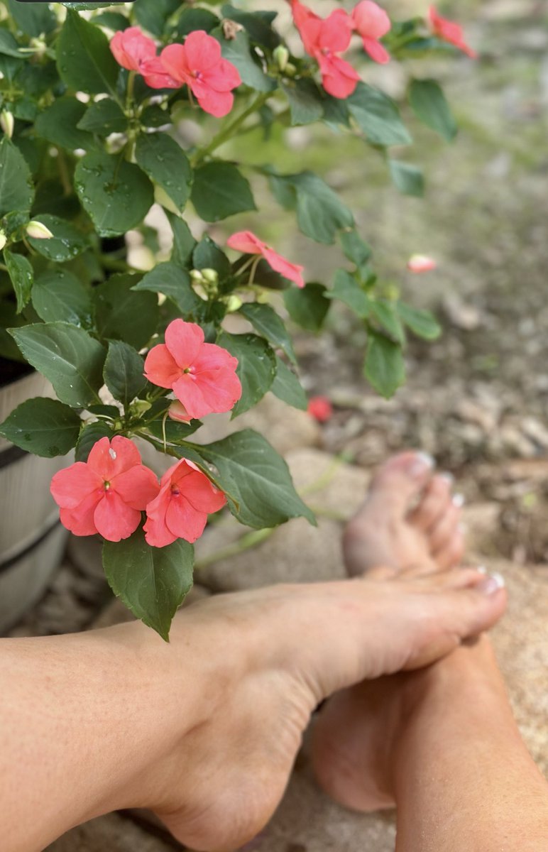 Ivylake16's tweet photo. Barefoot is best🌸 https://t.co/0yigPy7eAO