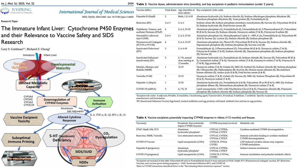 NicHulscher's tweet image. 🚨 BREAKING: Vaccines May Trigger Sudden Infant Death Syndrome via Brainstem Failure
New study finds that immature infant livers may fail to clear toxic vaccine ingredients—triggering inflammation and brainstem dysfunction that can lead to sudden death during sleep.👇
1. Infant…