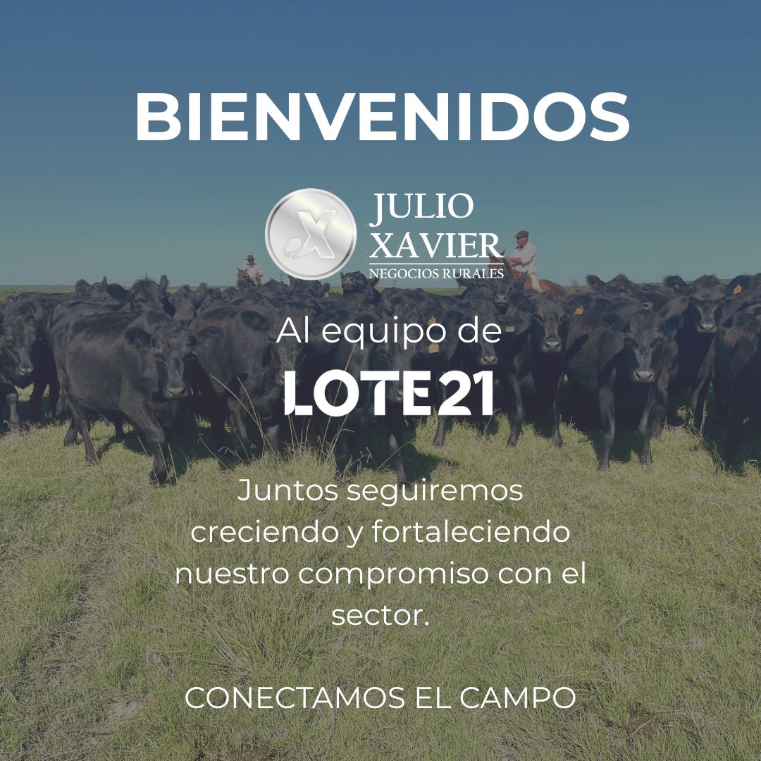 Seguimos creciendo, somos EQUIPO, SOMOS LOTE21