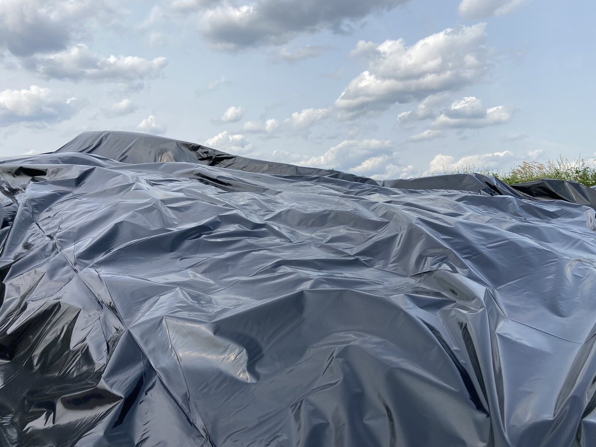boerinhendrika's tweet photo. Landbouwplastic over de kuilbult trekken met harde wind is nogal een karwei - handwerk -, maar ‘t is gelukt💪🏻😅De loonwerker spit met de kraan er zand over en kan het voer #conserveren Daarna laten we het voer analyseren en weten we wat de kwaliteit is. https://t.co/RD8d0wctyK