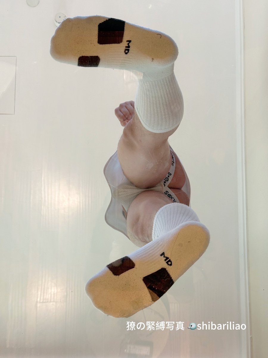 <a: 可爱篮球小狗