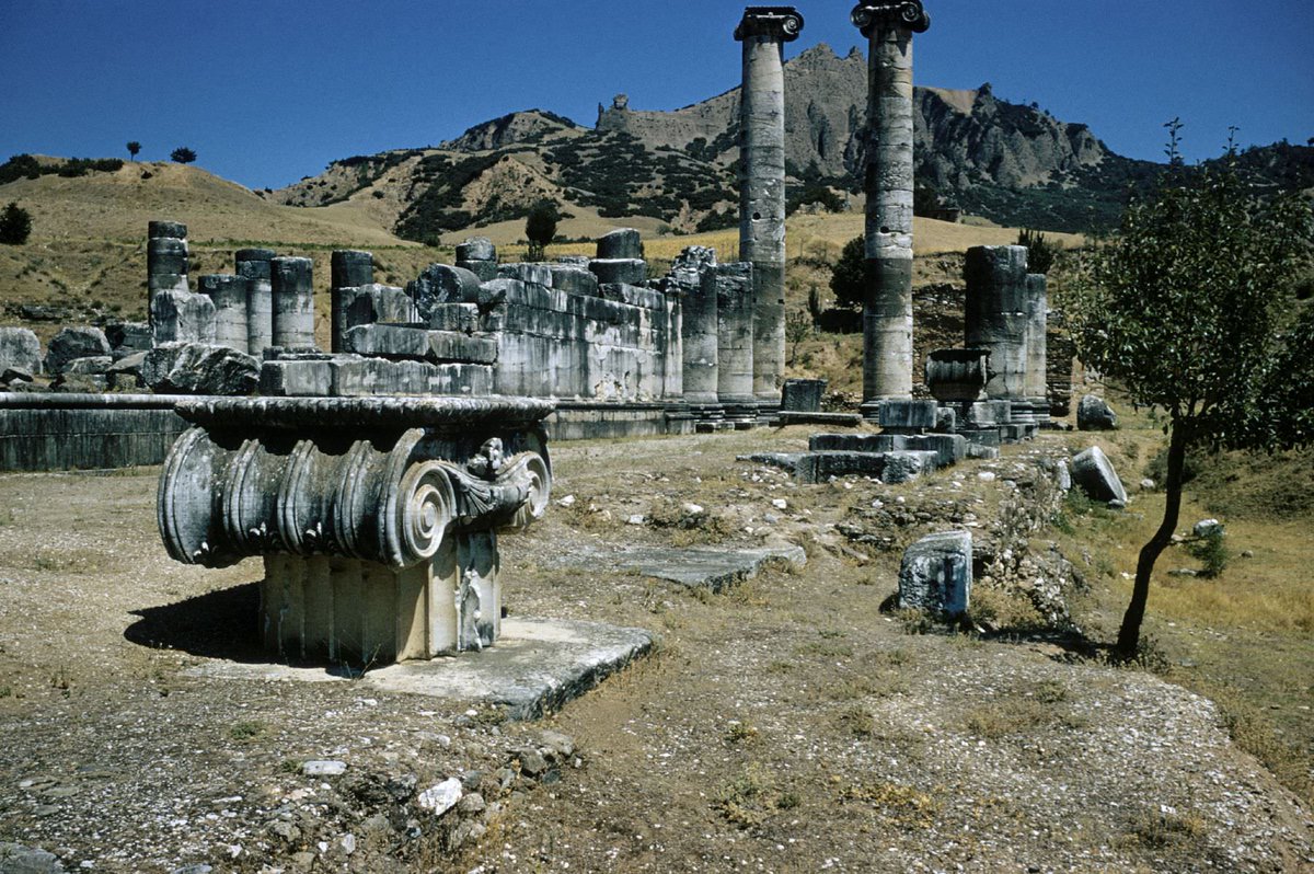 ἄχθος ἀρούρης (@daemondiomedes) on Twitter photo 