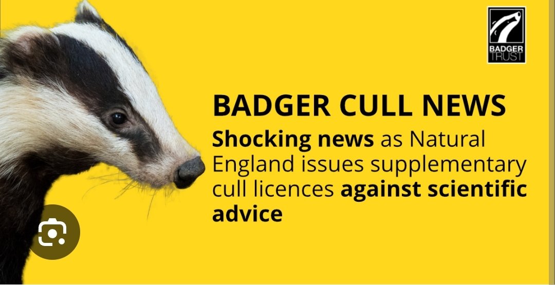 EcologistsAgainstTheCull tweet media