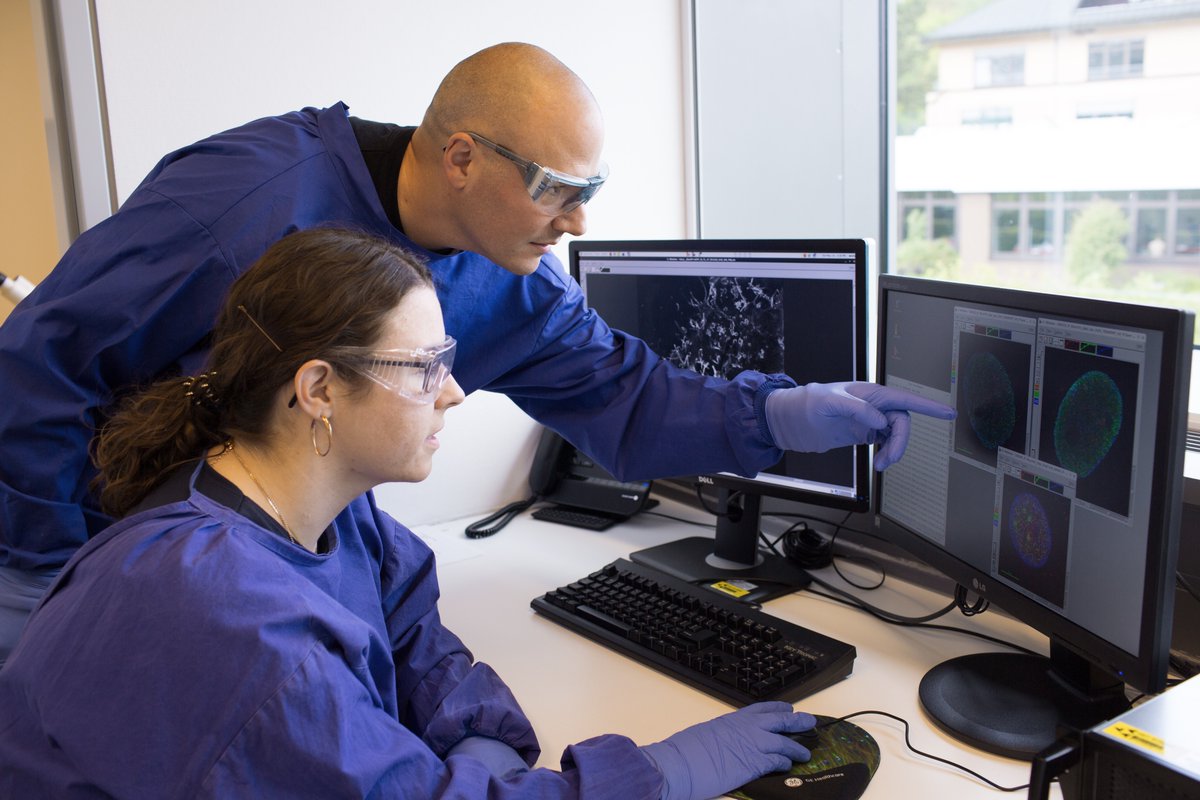 We discovered two antiviral compounds and proved their activity against four viruses: influenzae, respiratory syndrome, SARS-CoV-2, and Dengue – demonstrating how scientists from diverse areas can collaborate using computer models &amp; laboratory experiments.
dzif.de/en/broad-spect…