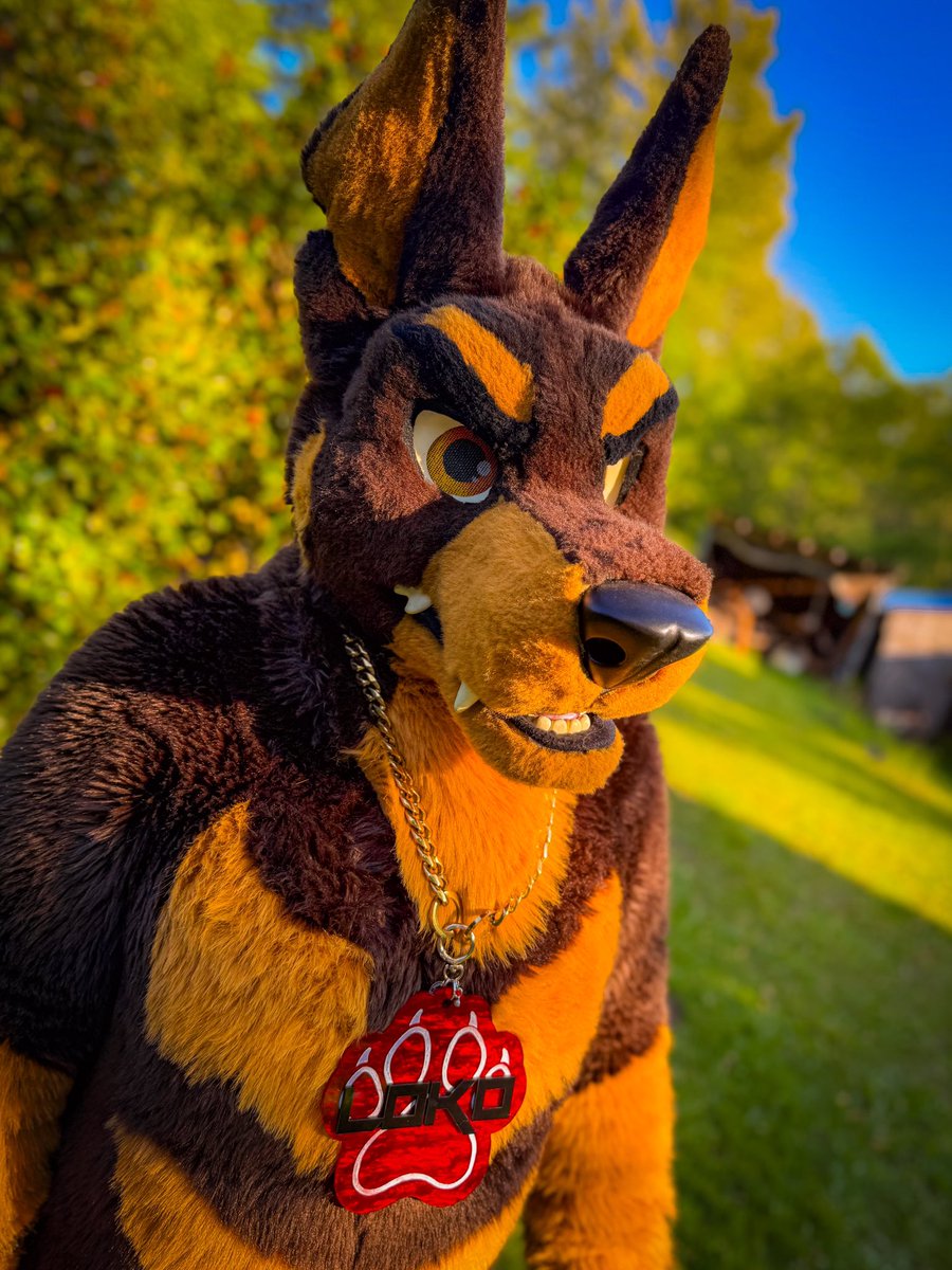 Still a dog (@lokodobie) on Twitter photo I, Lokoeth Dobermaneth the first, hereby endorse <a href="/CupCritters/">Cup Critters & Co.</a> and their dope fursuit tags. The quality and uniqueness are both 10/10. Check em out and get yours.
You not only want oneβ¦you need one, ya nerd. I, Lokoeth Dobermaneth the first, hereby endorse <a href="/CupCritters/">Cup Critters & Co.</a> and their dope fursuit tags. The quality and uniqueness are both 10/10. Check em out and get yours.
You not only want oneβ¦you need one, ya nerd.