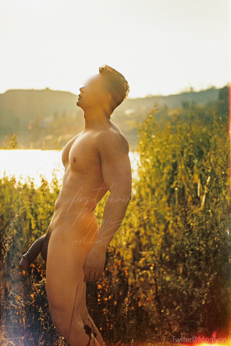 Golden Light Lakeside