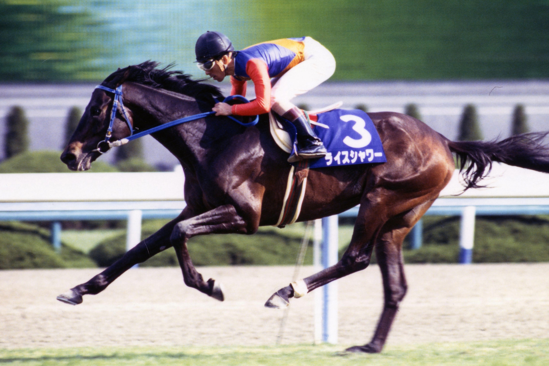 【希少品！】JRA  第111回　天皇賞　ライスシャワー　ポスター　競馬 希少品！】JRA 第111回 天皇賞 ライスシャワー ポスター 競馬