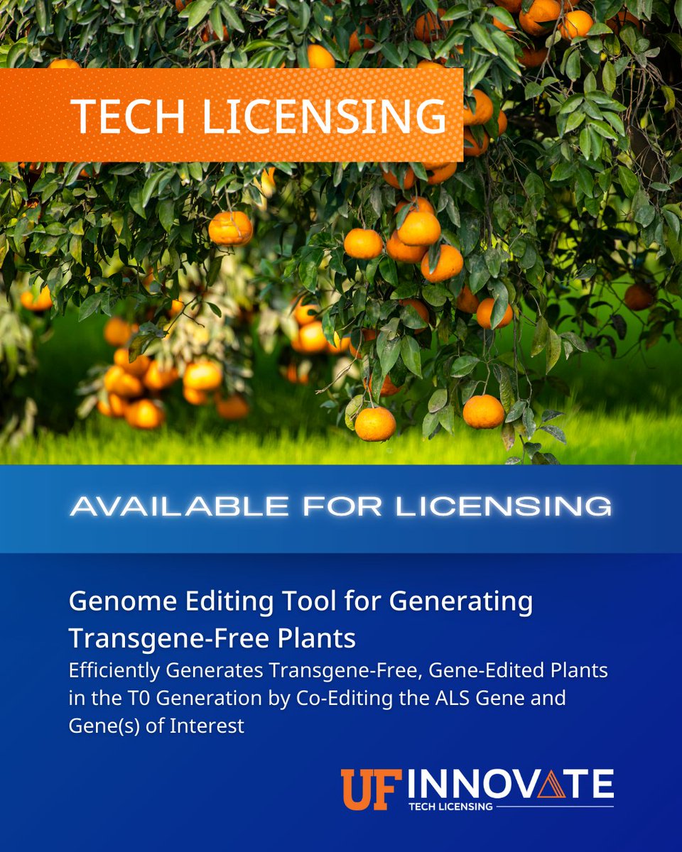 UF Innovate | Tech Licensing (@ufotl) on Twitter photo .<a href="/UFIFASCitrusREC/">UF/IFAS Citrus REC</a> researchers developed a genome editing tool that creates transgene-free, gene-edited plants in the first generation—paving the way for faster crop innovation and wider acceptance in global markets!
🔗: ufinnovate.technologypublisher.com/tech/Genome_Ed… .<a href="/UFIFASCitrusREC/">UF/IFAS Citrus REC</a> researchers developed a genome editing tool that creates transgene-free, gene-edited plants in the first generation—paving the way for faster crop innovation and wider acceptance in global markets!
🔗: ufinnovate.technologypublisher.com/tech/Genome_Ed…