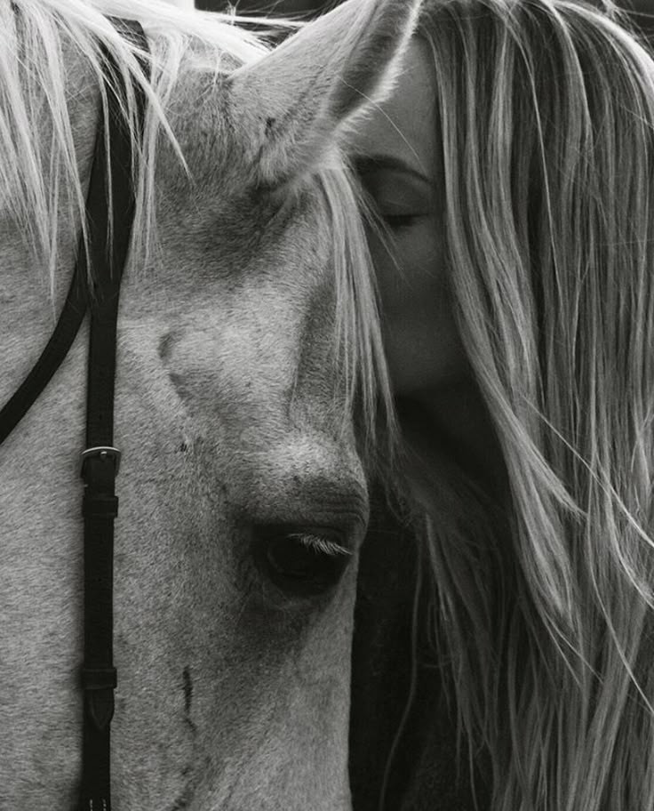 LaKalinka62's tweet image. " il n y a pas de secret aussi intime que ceux d un cavalier et de son cheval "
Robert S.Surtees