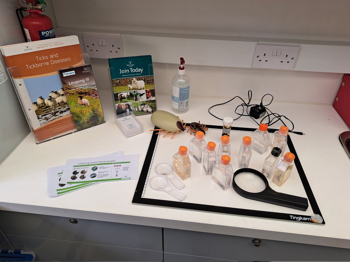 MoredunComms's tweet image. All set up at @natsheep North sheep for tomorrow's event in Penrith.
Animal health seminars with @AHDB_BeefLamb #SCOPS
#teamsheep