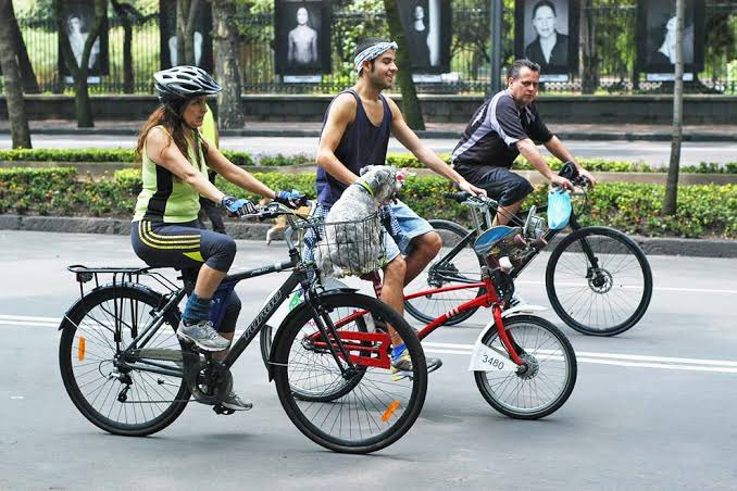 WPHNA's tweet image. Today is #WorldBicycleDay! 🚵♀️🚴♂️🚴♀️🚵♂️
Ride your bicycle to improve both the planet's and your own health!
Simple, affordable, and efficient sustainable transport, cycling supports our health, our planet and our lives.
Show us your photo in bicycle 👇🏽