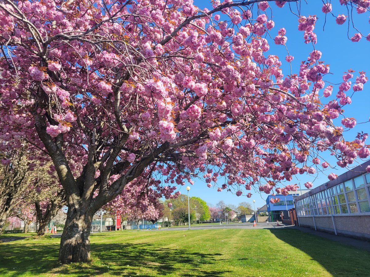 The entire St. Aidan’s Community wishes our Sixth and Third Year students the very best in the upcoming exams. You have done the work, just let the rest happen. Good luck all. #EREBB