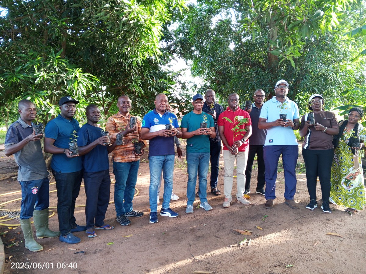 Flash back sur les jeunes plants : « C’est formidable, je reconnais ce jeune plant que j‘avais planté il y a trois ans. Il a bien grandi tout comme les autres! » ; s’est exclamé le Directeur de Cabinet qui a présidé cette opération il y a quelques années. planification.gouv.tg/zoom-sur-les-j…