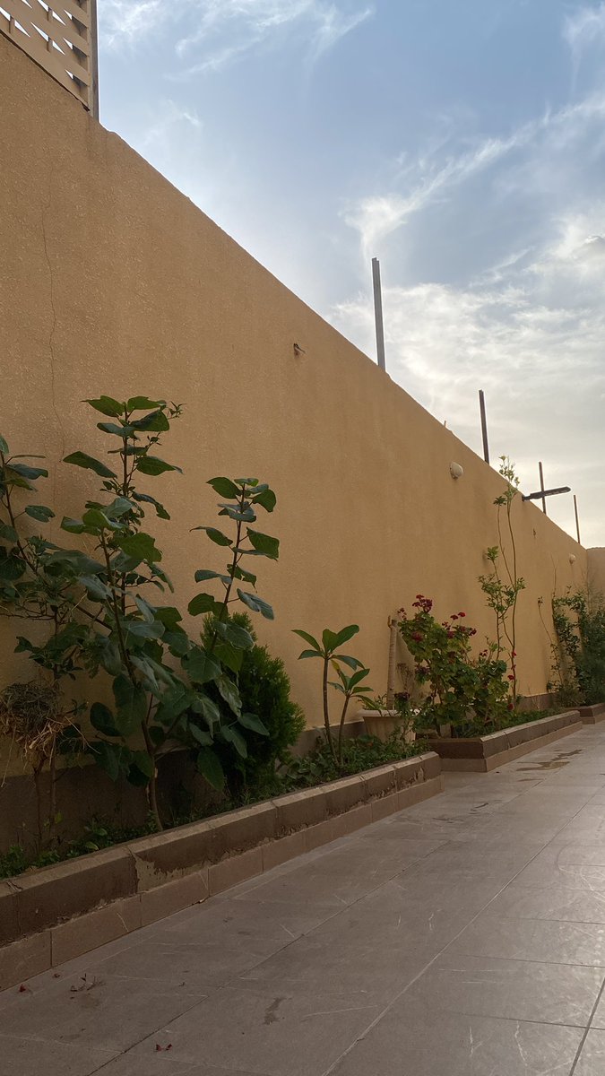 الجو جو عشاق