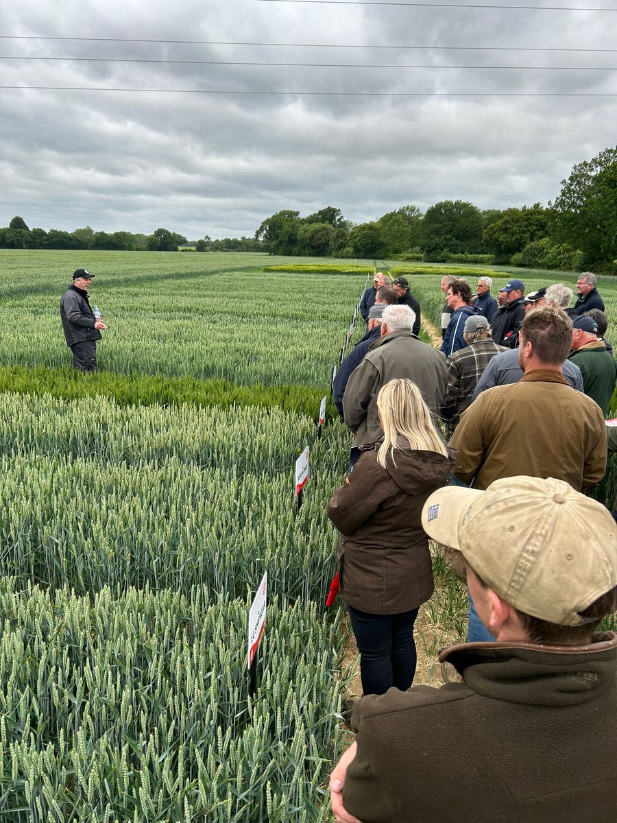 UK_COFCO's tweet image. Thank You to everyone who attended this mornings seed trials @LGSeedsUK