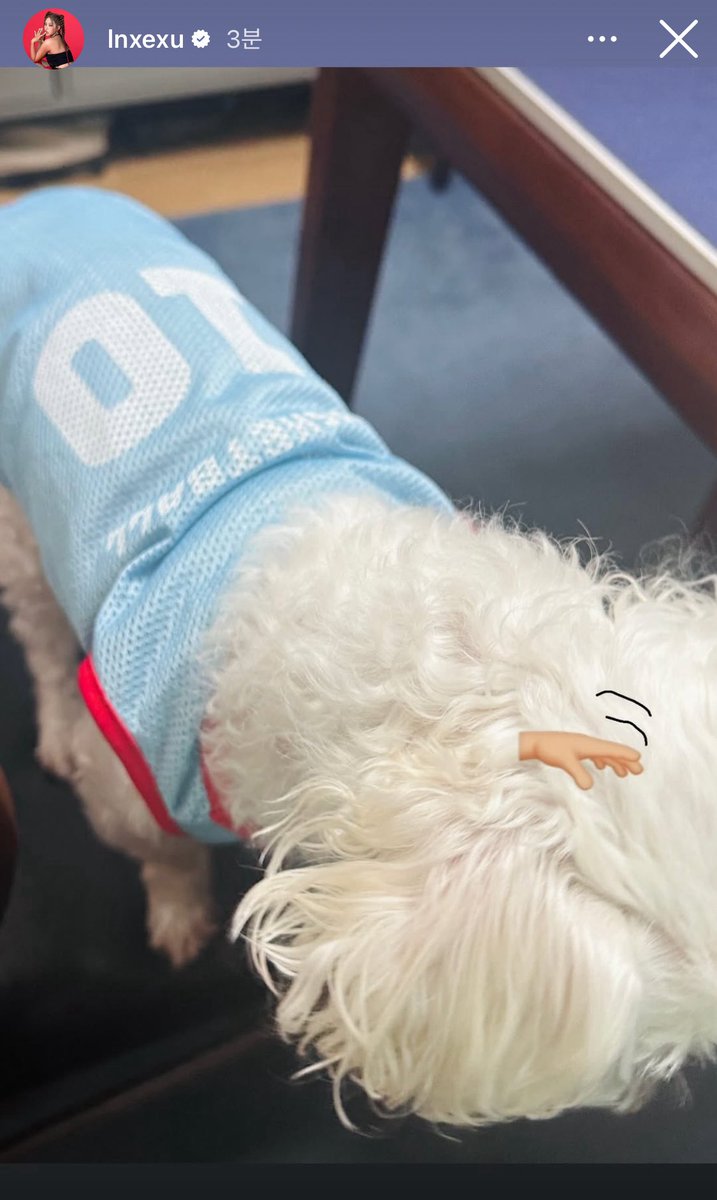 이게손혜주야 내영웅 아니 우리영웅