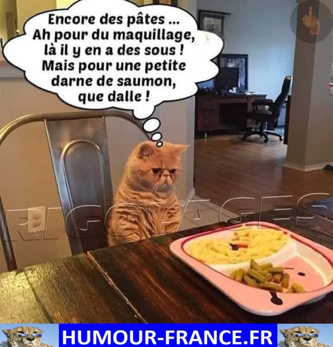 text alternatif
