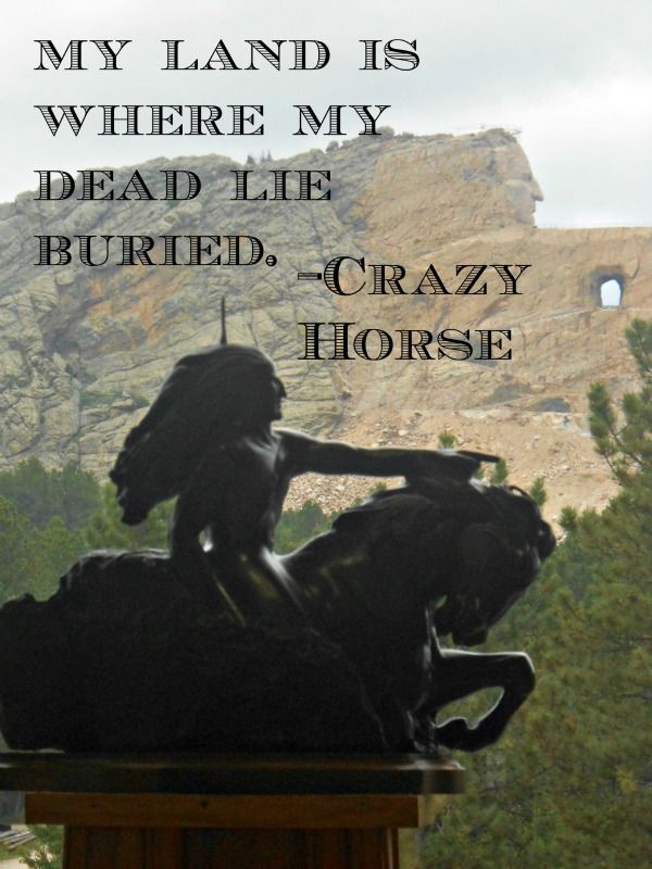 Crzyhorse (@crzyhorse2) on Twitter photo 