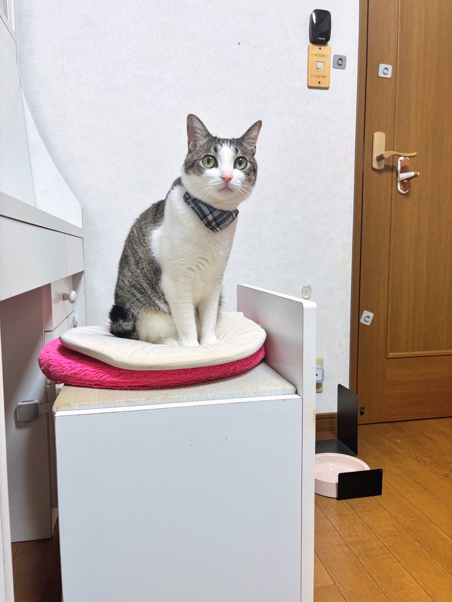 そこに座っていいのはメイクする奴だけだぞ。