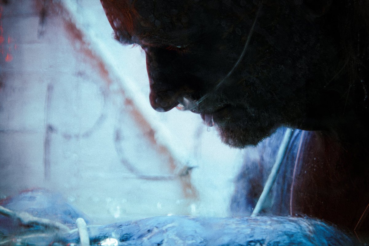 planetzomax's tweet image. 