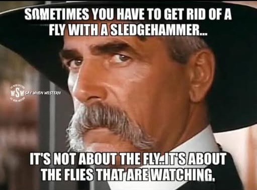 🇺🇸Roger Bernards🍊 (@rogerbernards) on Twitter photo Pam, Kash, the flies are watching!! Pam, Kash, the flies are watching!!
