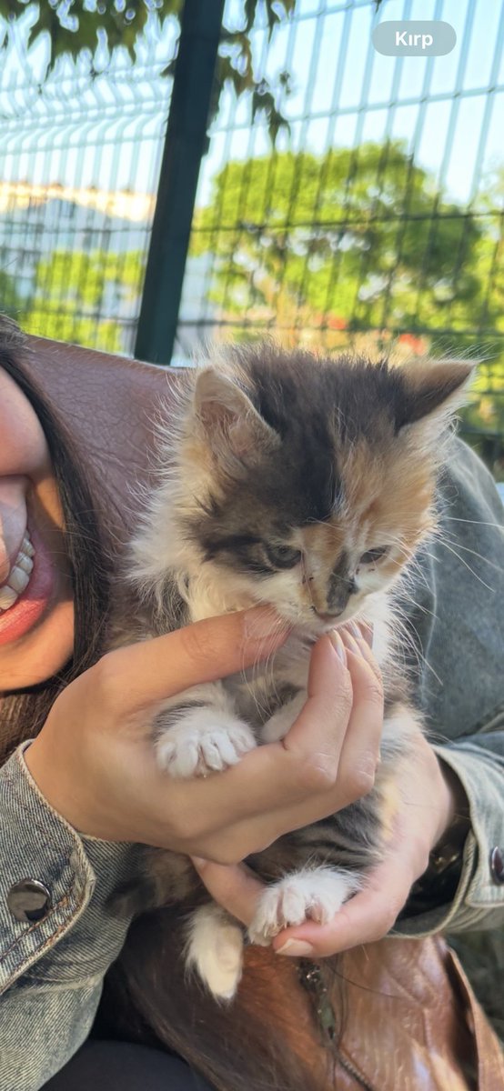 Sahiplenmeyi bekleyen 2 yavrumuz kaldı. Kara burun kardeşler sokakta kalmayı haketmiyor. Beraber sahiplenilirse ne mutlu ama kriter değil. Onları çok sevecek, gözü gibi bakacak, ömürlük yuva tek kriter. Adres Tuzla/İST

Kardeşleri RT desteğiyle yuvalandı,destek bekliyoruz.