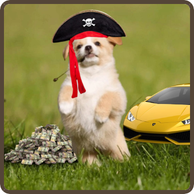 <a href="/jeremybtc/"></a> Hold it well because you might get left behind by Capt. $WILLY