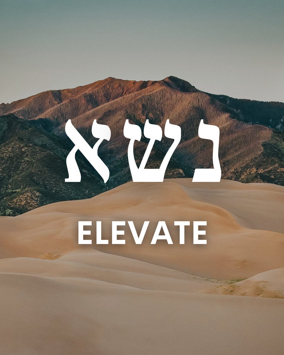 ChosenPeopleUSA's tweet photo. Check out our thoughts on this week's Torah portion!
#ChosenPeople #Torah #devotional #Messianic #Parashah #Parashat #Bible #Genesis #Nasso https://t.co/DsxM1y3TuD