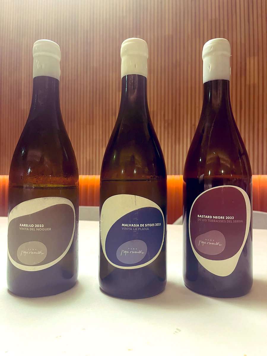 • VINS PEPE RAVENTÓS • 

Les noves anyades del Xarel•lo del Noguer, La Malvasia de Sitges i el Bastard Negre. 

Els 3 vins tranquils del projecte personal i de garatge de Pepe Raventós. 

Brutals 🤍🤎