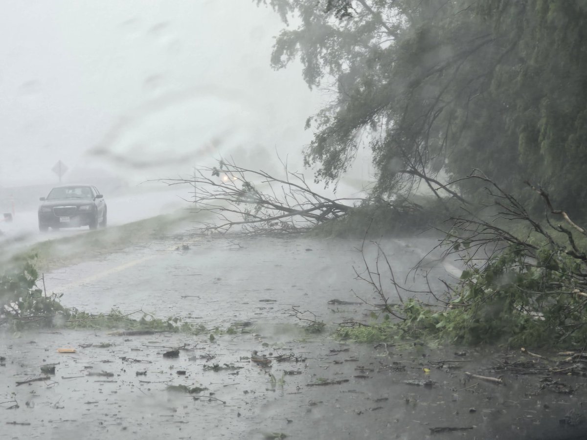 brim4462's tweet photo. Southbound 7 hi way, north of Lake City.  Road is blocked with large tree limbs. https://t.co/SrJF2kRoMu