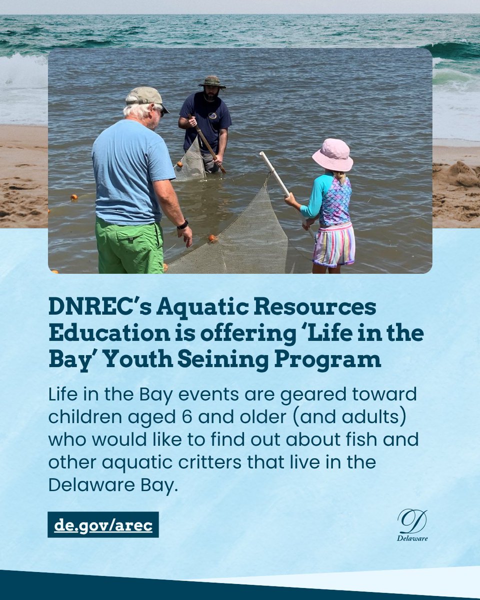 Dive into “Life in the Bay” this Summer!
Join DNREC’s free, family-friendly program at Woodland Beach to explore marine life along the Delaware Bay!

📅 June 18 | July 2 | July 23 | Aug 8
📍 Ages 6+ | FREE | Pre-registration required

🔗 Learn more: news.delaware.gov/2025/05/19/dnr…